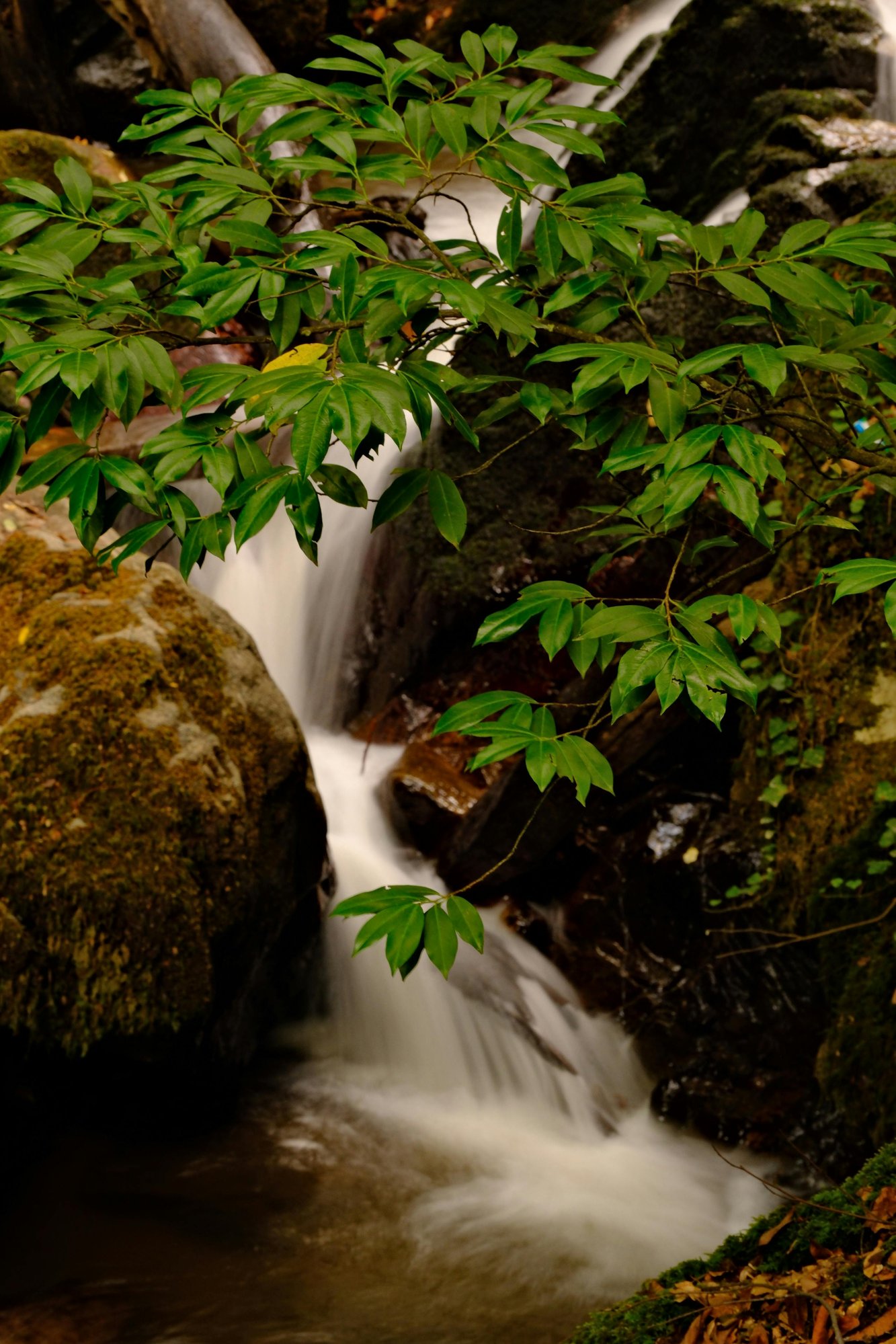 pexels-ozan-aldemir-2157508360-34869242 pexels-ozan-aldemir-2157508360-34869242